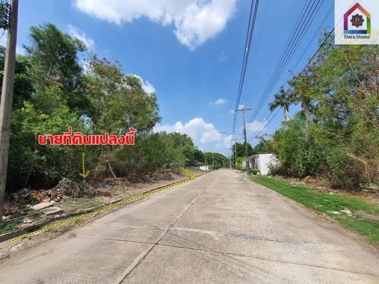 พื้นที่ดิน ขายที่ดิน ตหลักหก อเมืองปทุมธานี จปทุมธานี 206