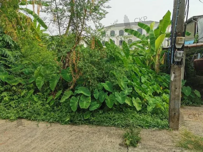 ขาย ที่ดินพร้อมสิ่งปลูกสร้าง ขนาด 754 ตรวา ใกล้เซ็นทรัลอุดร