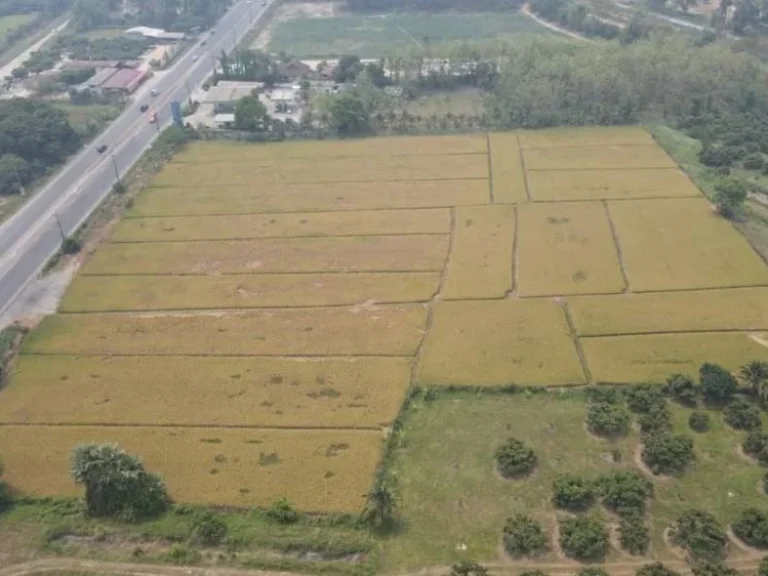 ขายที่ดินแม่ริม ติดถนนหลวง107ก่อนถึงราชภัฎ เนื้อที่ 8 ไร่