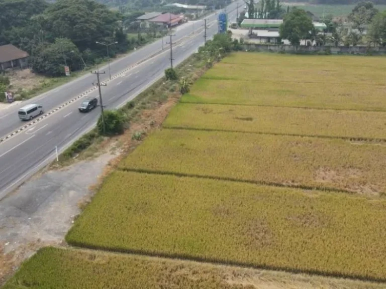 ขายที่ดินแม่ริม ติดถนนหลวง107ก่อนถึงราชภัฎ เนื้อที่ 8 ไร่