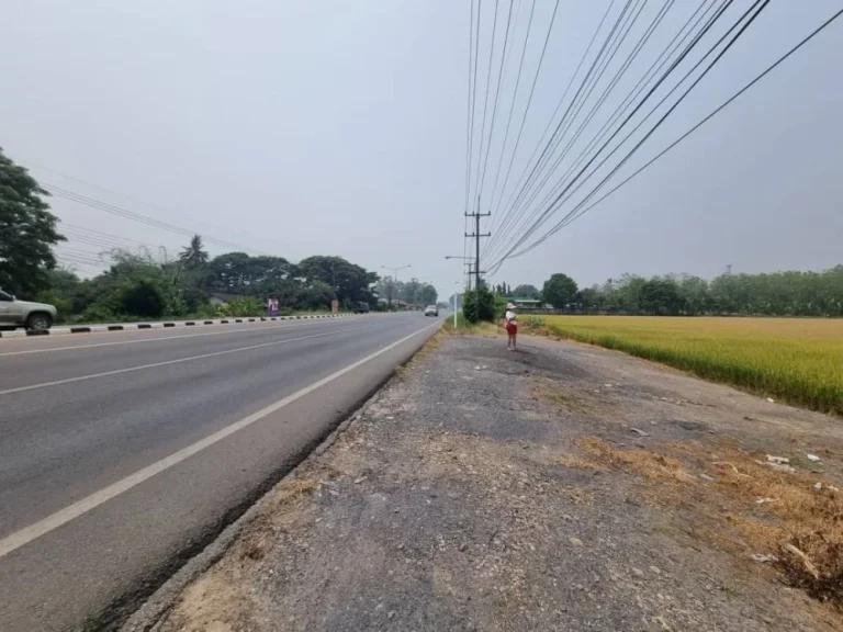 ขายที่ดินแม่ริม ติดถนนหลวง107ก่อนถึงราชภัฎ เนื้อที่ 8 ไร่