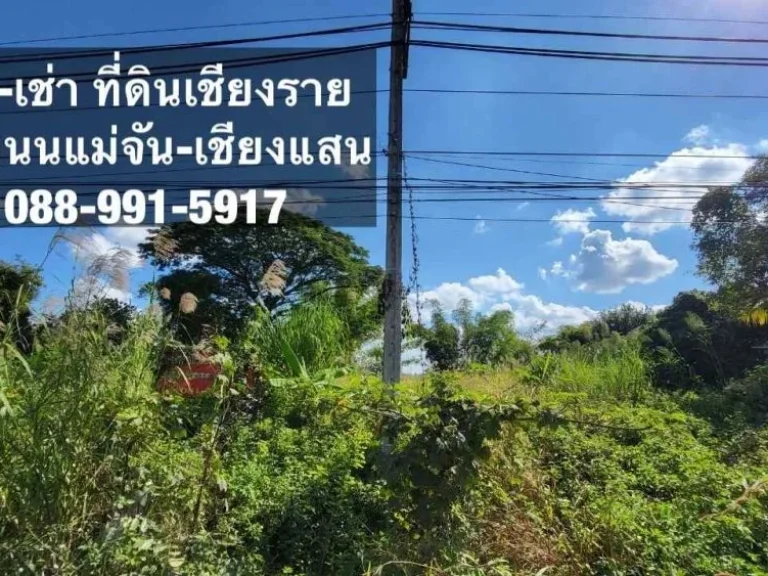 ขาย - เช่า ที่ดิน ใกล้แหล่งชุมชน บ้านบ่อก้าง อแม่จัน