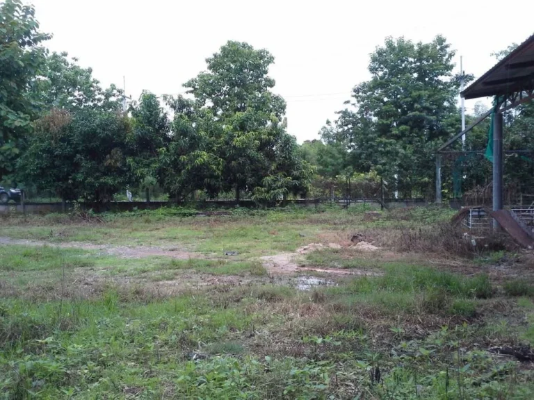 ที่ดิน ติดแม่น้ำและถนน 1-3-53 ไร่ ในเมืองเลย Land for sale by