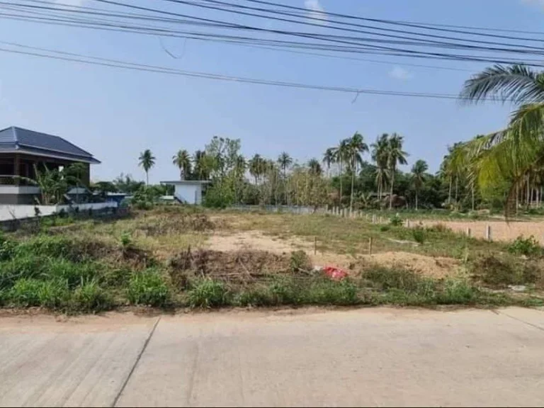 ขายที่ดินโป่ง บางละมุง 200 ตรว ถมแล้ว เหมาะปลูกบ้านทำพูลวิล