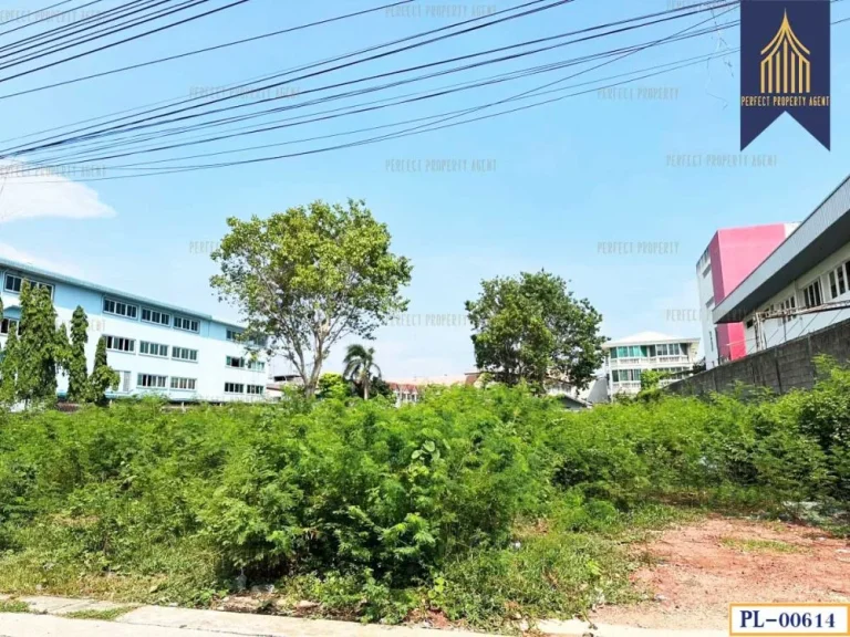 ที่ดิน ถนนพระราม2 แสมดำ บางขุนเทียน กรุงเทพมหานคร ทำเลดี