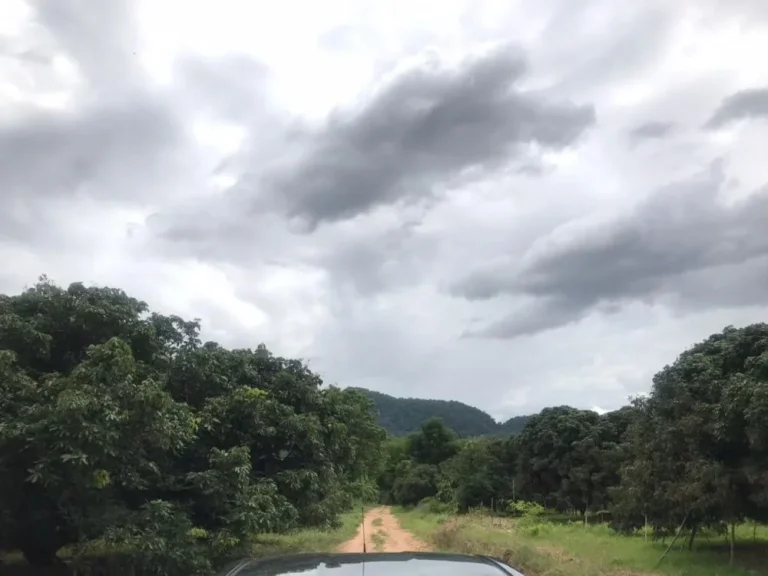 ที่ดินสวนลำใยพร้าว ทำเลดี วิวภูเขา ใกล้เขื่อนแม่งัด