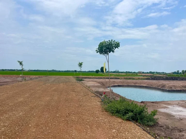 ขายที่ดินพรหมณีสดผ่อนเริ่มต้น 200 ตรว- 1 ไร่