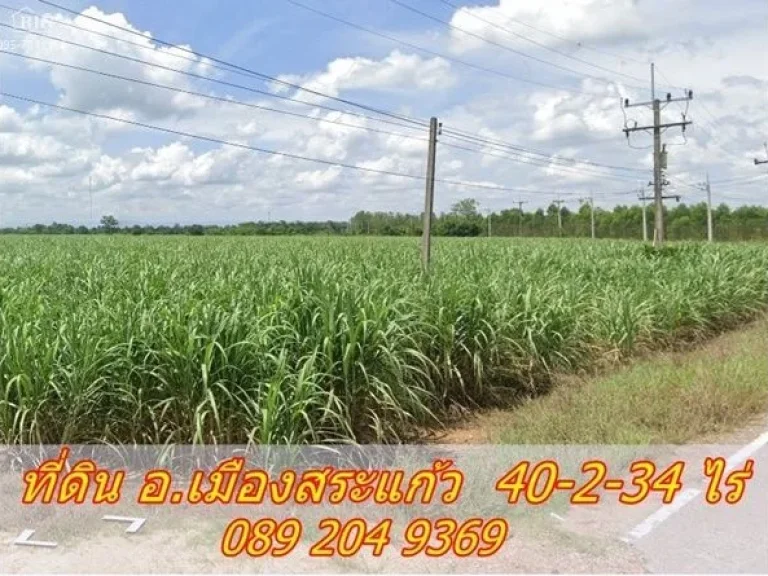 ขายที่ดินราคาถูก ติดถนน หน้าที่ดินกว้างประมาณ 300 เมตร