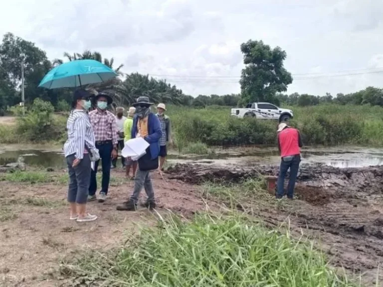 ขายที่ดิน คลอง14 เงินผ่อน เริ่ม 200 ตรว หนองเสือ ปทุมธานี