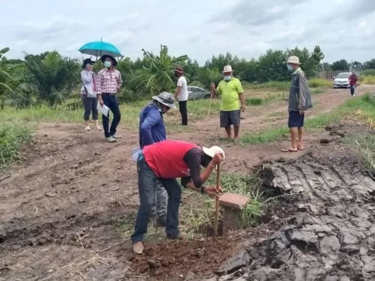 ขายที่ดิน คลอง14 เงินผ่อน เริ่ม 200 ตรว หนองเสือ ปทุมธานี