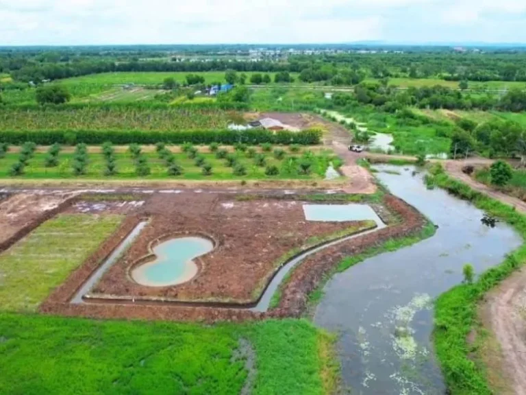 ขายที่ดิน คลอง14 เงินผ่อน เริ่ม 200 ตรว หนองเสือ ปทุมธานี