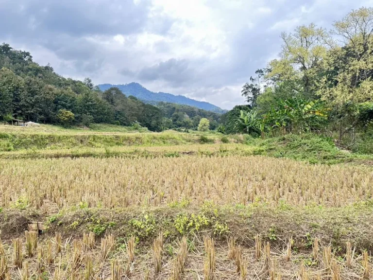 ขายที่ดินติดลำธาร เนื้อที่ 20-0-23 ไร่ ติดถนนลาดยาง สะเมิง