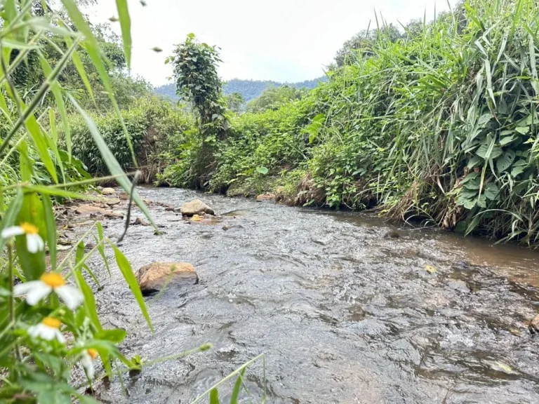 ขายที่ดินติดลำธาร เนื้อที่ 20-0-23 ไร่ ติดถนนลาดยาง สะเมิง