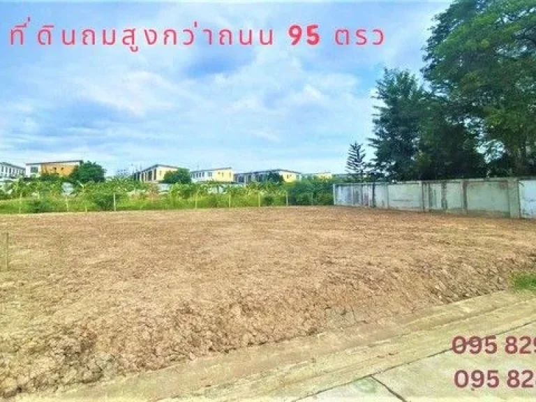 ขายที่ดินดอนเมือง ถมสูงกว่าถนนคอนกรีต เนื้อที่ 95 ตรว