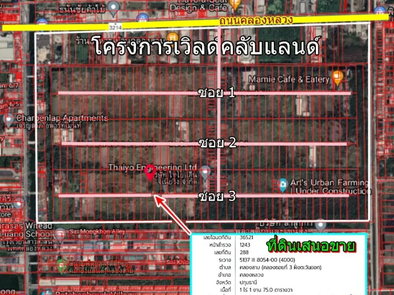 ขายที่ดินราคาถูกมากในโครงการเวิลด์คลับแลนด์