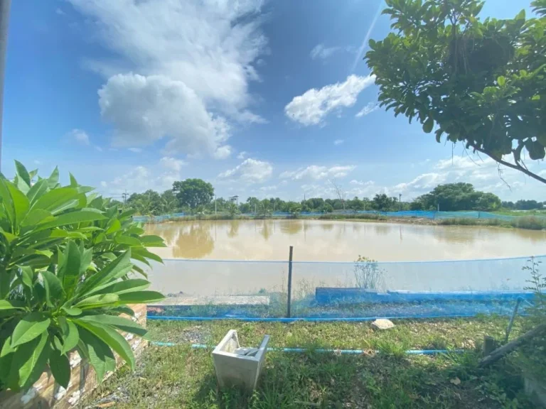 ขายที่ดินพร้อมบ้านสวน คลองขุด ตำบลบางสมบูรณ์ อำเภอองครักษ์