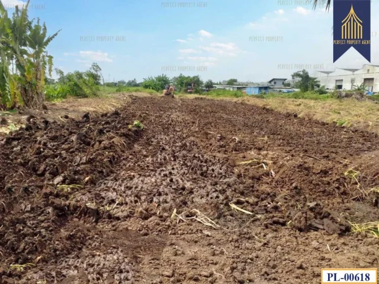 ที่ดินเเปลงใหญ่ ถนนอยู่วิทยา หนองจอก เหมาะพัฒนาเชิงพาณิชย์