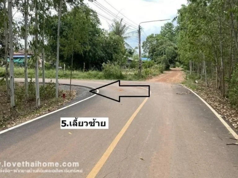 ขายที่ดิน ซอยวัดโกรกแก้ว ใกล้สี่แยกวังเย็น จังหวัด ฉะเชิงเทรา