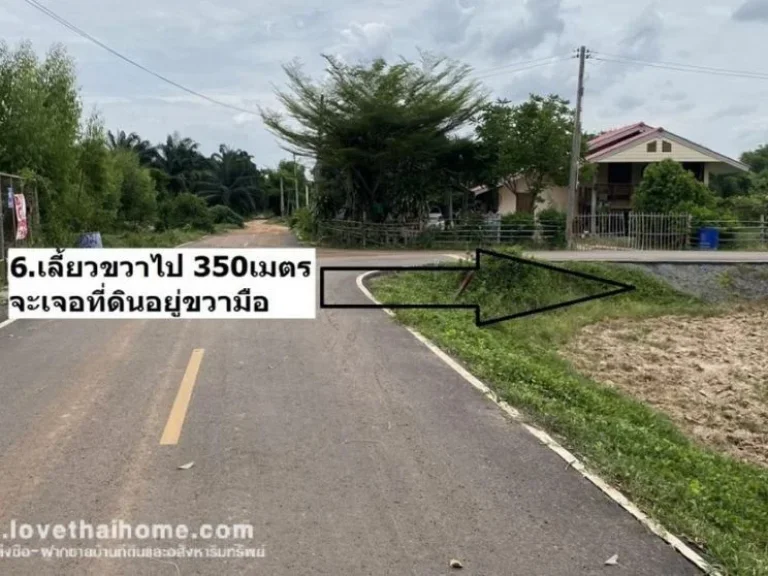 ขายที่ดิน ซอยวัดโกรกแก้ว ใกล้สี่แยกวังเย็น จังหวัด ฉะเชิงเทรา