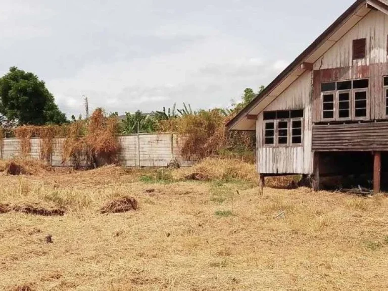 ขายที่ดินพร้อมสิ่งปลูกสร้าง 297 ตรว ซอยแพรกษา