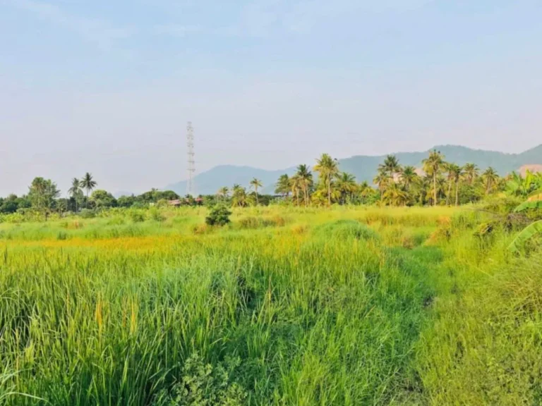 ขายที่ดินสวยบรรยากาศบริสุทธิ์ เดินทางสะดวกสบาย วิวภูเขา