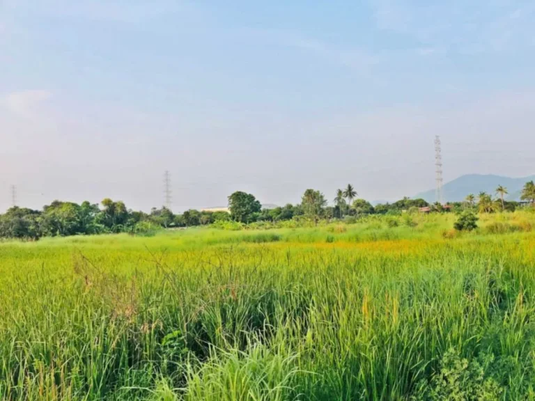 ขายที่ดินสวยบรรยากาศบริสุทธิ์ เดินทางสะดวกสบาย วิวภูเขา