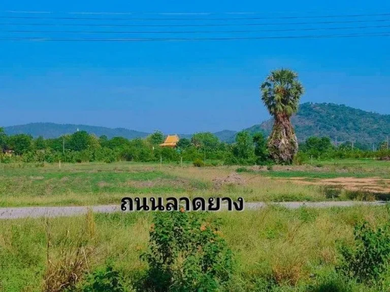 ขายบ้านสวนพร้อมที่ดิน 3 ไร่ พิกัด ตดอนคา ออู่ทอง