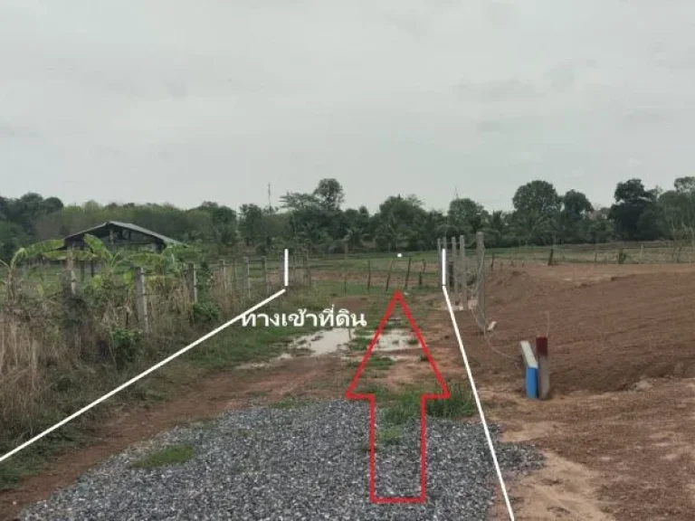 ขายที่ดินจำนวน 5 ไร่ ตหนองกอมเกาะ อเมือง จหนองคาย