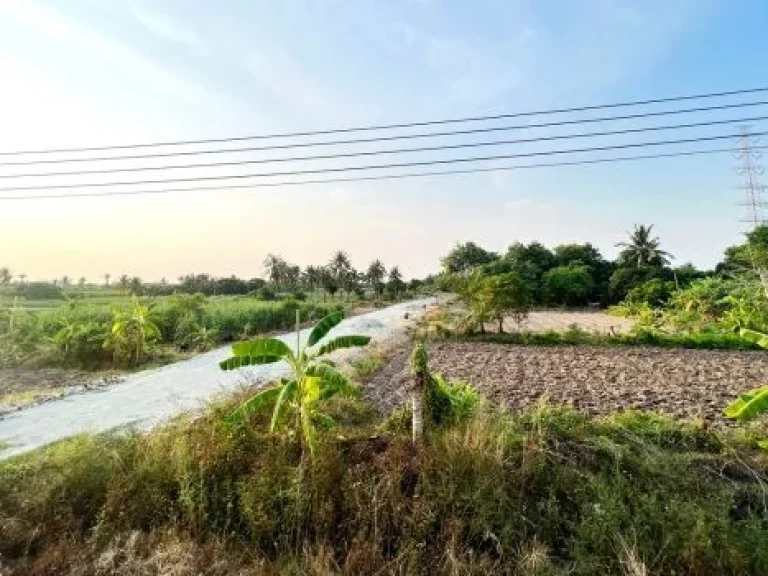 ขายที่ดินสวยเหมาะแก่การสร้างที่อยู่อาศัย พลูวิลล่า วิวเขา