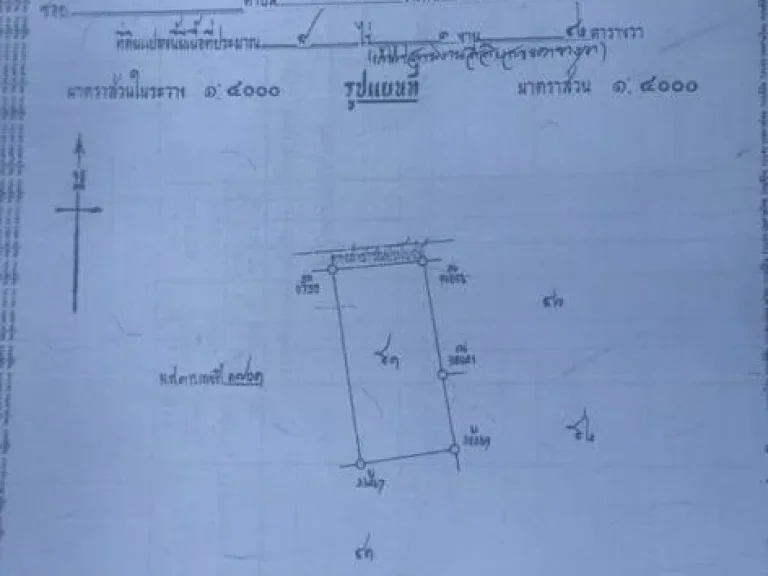 ขายที่ดิน ทำเลทอง ที่อำเภอแปลงยาว จังหวัดฉะเชิงเทรา