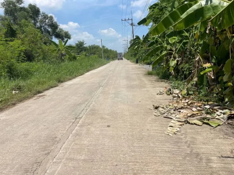 ขายที่ดินสวยคลอง12 ติดถนนคอนกรีต ในชุมชน น้ำไฟพร้อม