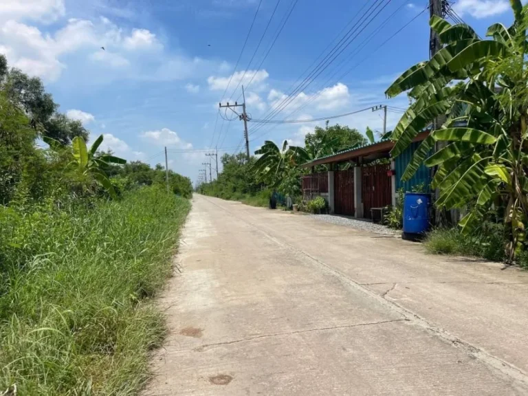 ขายที่ดินสวยคลอง12 ติดถนนคอนกรีต ในชุมชน น้ำไฟพร้อม