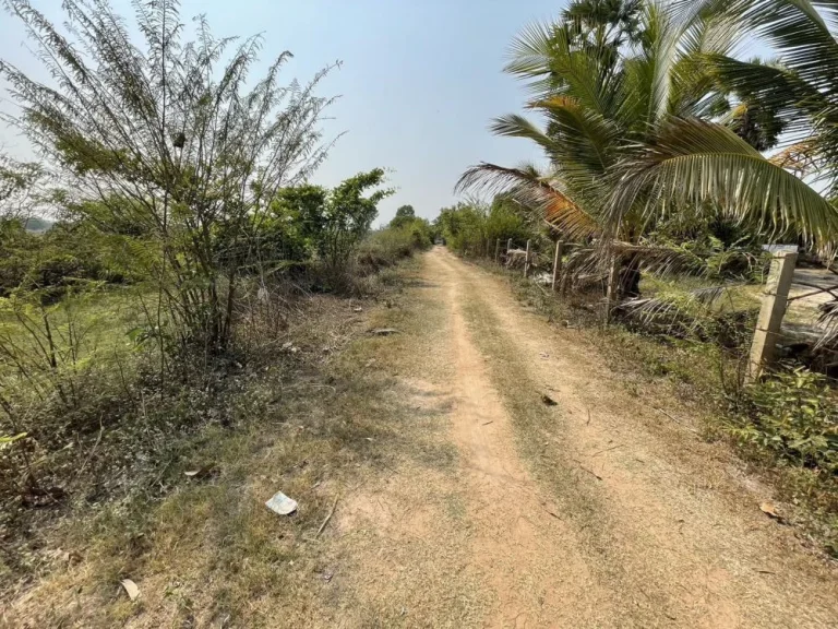 ขายที่ดิน ติดถนน ติด ถนน 4 แลน อุบล-ศรีสะเกษ มีโฉนด