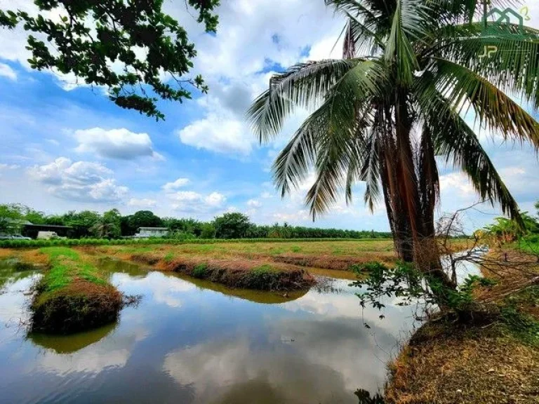 ขายที่ดินติดถนนเรียบคลอง 8 หนองเสือ 60 ไร่