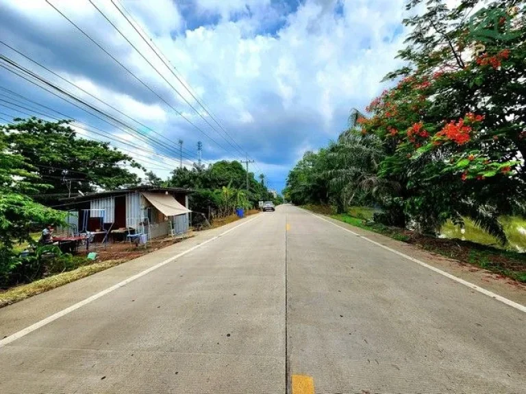 ขายที่ดินติดถนนเรียบคลอง 8 หนองเสือ 60 ไร่