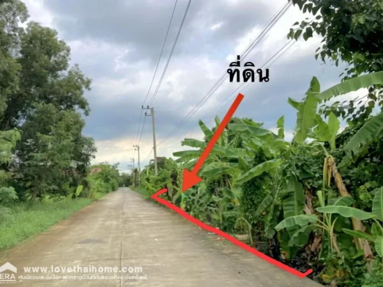 ขายที่ดิน ติดซอยบงกช 1 คลองหลวง-คลองสอง ปทุมธานี พื้นที่ 161