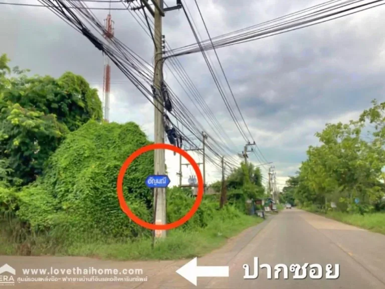 ขายที่ดิน ติดซอยบงกช 1 คลองหลวง-คลองสอง ปทุมธานี พื้นที่ 161