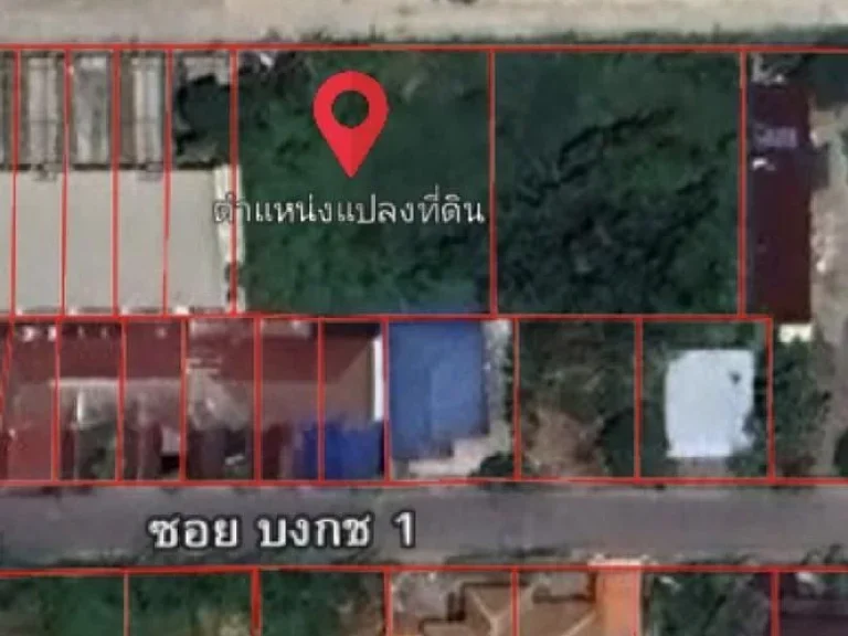 ขายที่ดิน ติดซอยบงกช 1 คลองหลวง-คลองสอง ปทุมธานี พื้นที่ 161