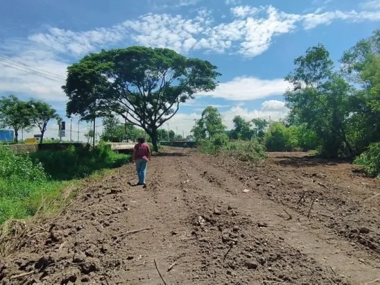 ขายที่ดิน 48 ตรว นิมิตรใหม่ ราคาถูกมาก ทำเลดี กู้เต้ม