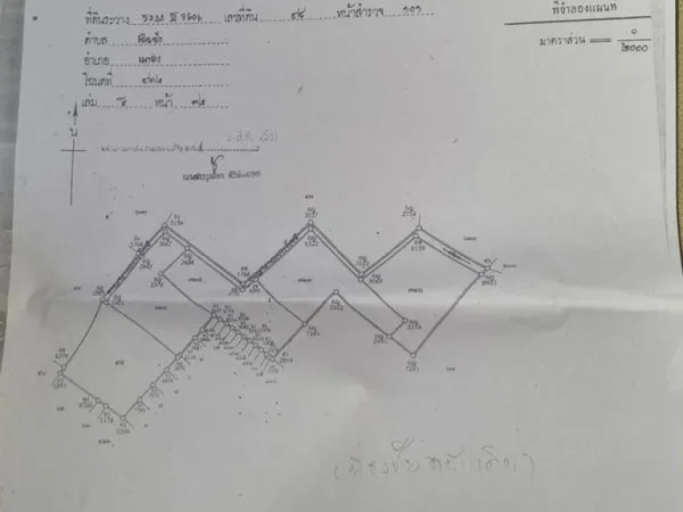 ขายที่ดิน ใกล้ทิวทุ่ง ตเนินฆ้อ อแกลง จระยอง เนื้อที่ 3 ไร่