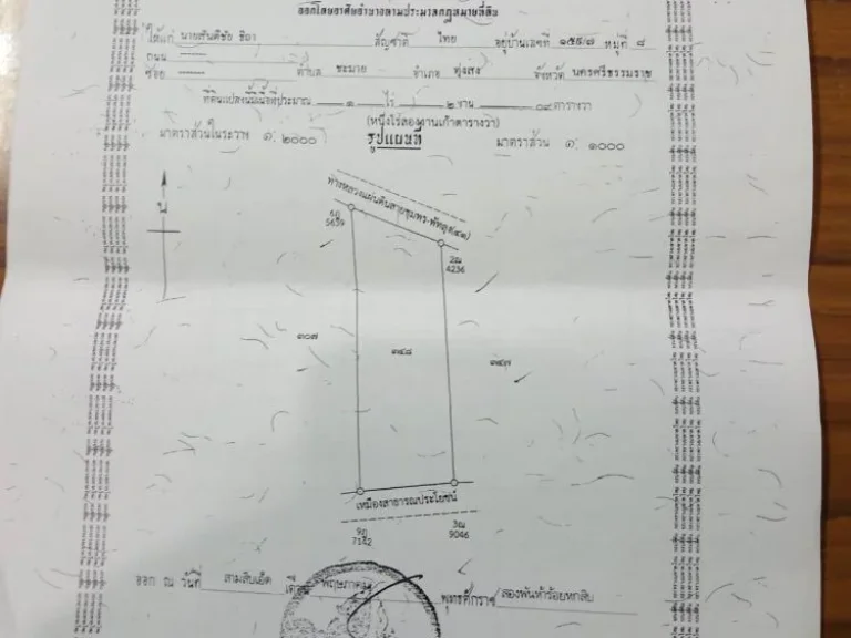 ข่ายด่วนที่ดินทำเลทอง ทุ่งสง นครศรีธรรมราช