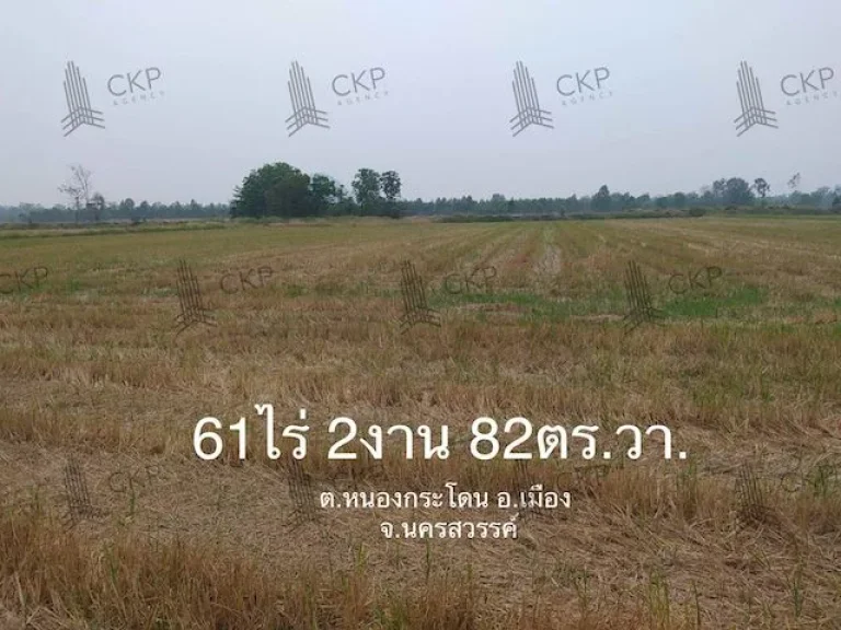 ขาย ที่ดินเปล่า ขนาด 61 ไร่ 282 ตรวา เหมาะทำอุตสาหกรรม