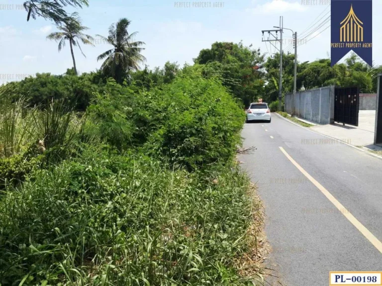 ที่ดิน ทำเลทอง บางม่วง บางใหญ่ นนทบุรี เหมาะแก่การลงทุน