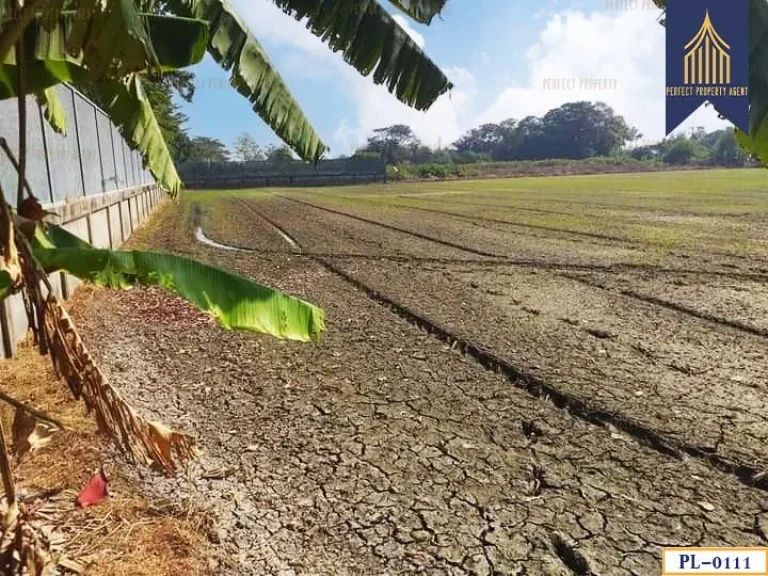 ที่ดินเปล่า สีเขียว ติดถนนใหญ่ สาย 347 สามโคก ปทุมธานี