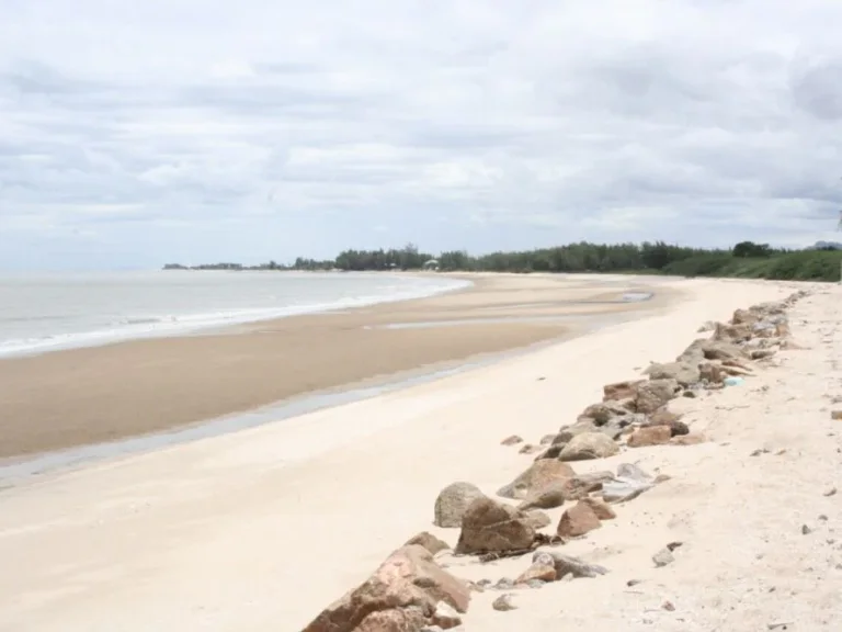 ที่ดินติดทะเลปึกเตียนหาดเพชร555ตรว หาดทรายชายทะเลสวย