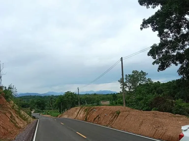 ที่ดินเปล่า สำหรับทำสวน หรืออยู่อาศัย ใกล้ชุมชน ติดถนนลาดยาง