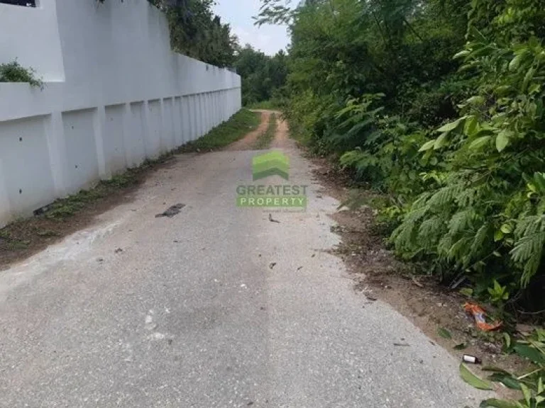 ขายที่ดิน ควนลัง หาดใหญ่ สงขลา เนื้อที่ 5180 ตรว แปลงสวย