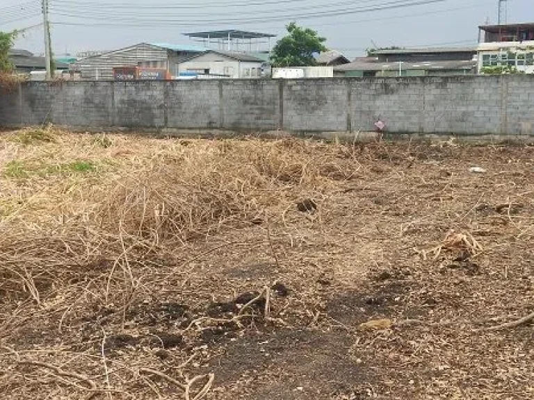 ที่ดินแบ่งขาย พระราม2 ถนนธนบุรี-ปากท่อ บางกระดี่ บางขุนเทียน