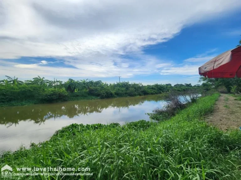 ขายที่ดินธัญบุรี คลอง 12 วิวสวย ด้านหลังติดคลอง 12 พื้นที่