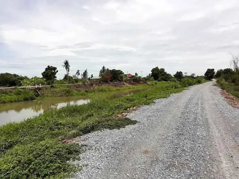 ขายที่ดินติดถนน ติดคลองชลประทาน โคกโคเฒ่า เมืองสุพรรณบุรี